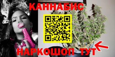 крисы Пыть-Ях