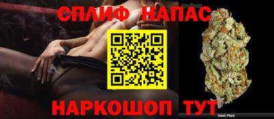 apvp Пугачёв